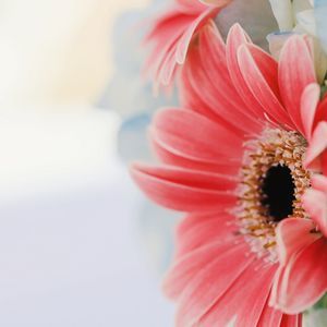 Meet your Posher, Rosey